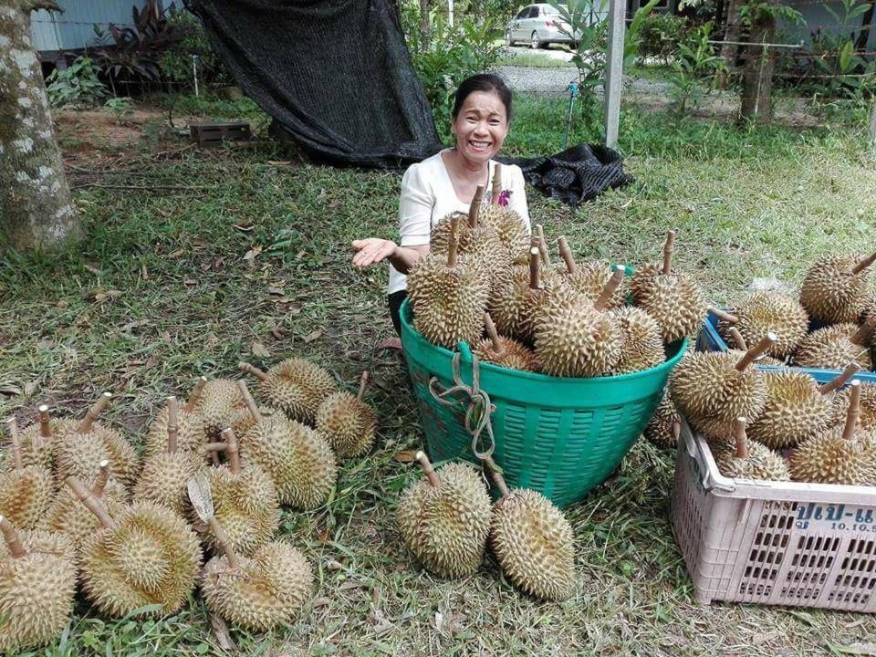 Phoohongsa Resort Nakhon Nayok Zewnętrze zdjęcie