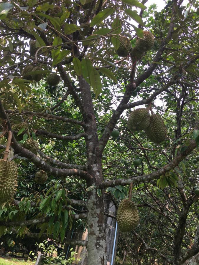 Phoohongsa Resort Nakhon Nayok Zewnętrze zdjęcie